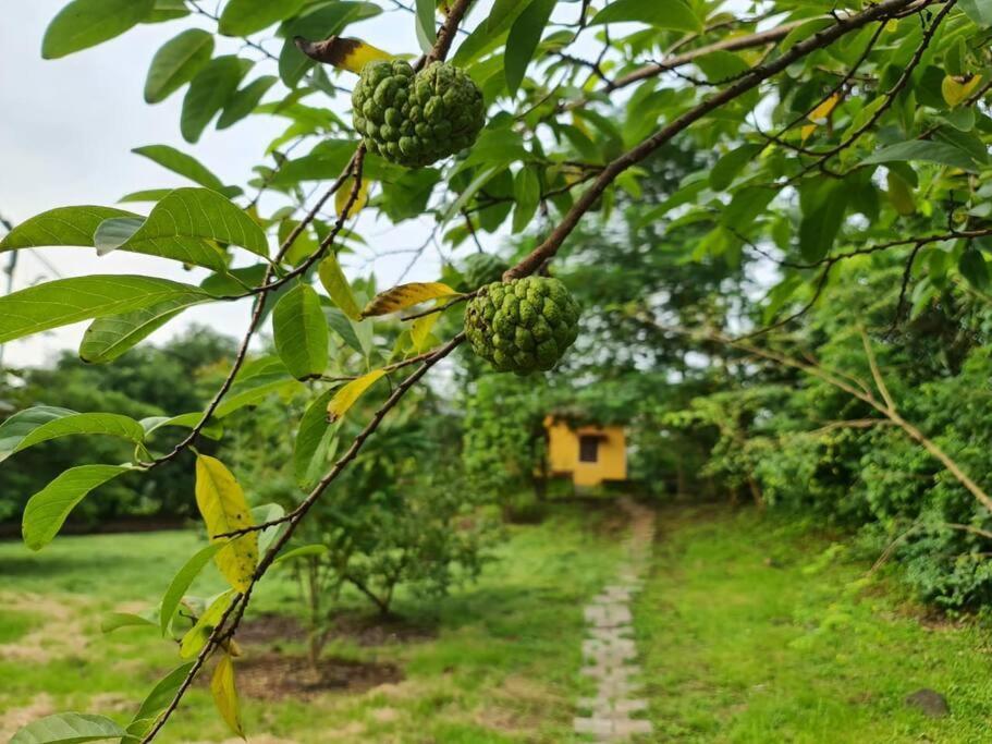 Sohana Eco Retreat Farmhouse - Karjat Chinchavli Exterior foto