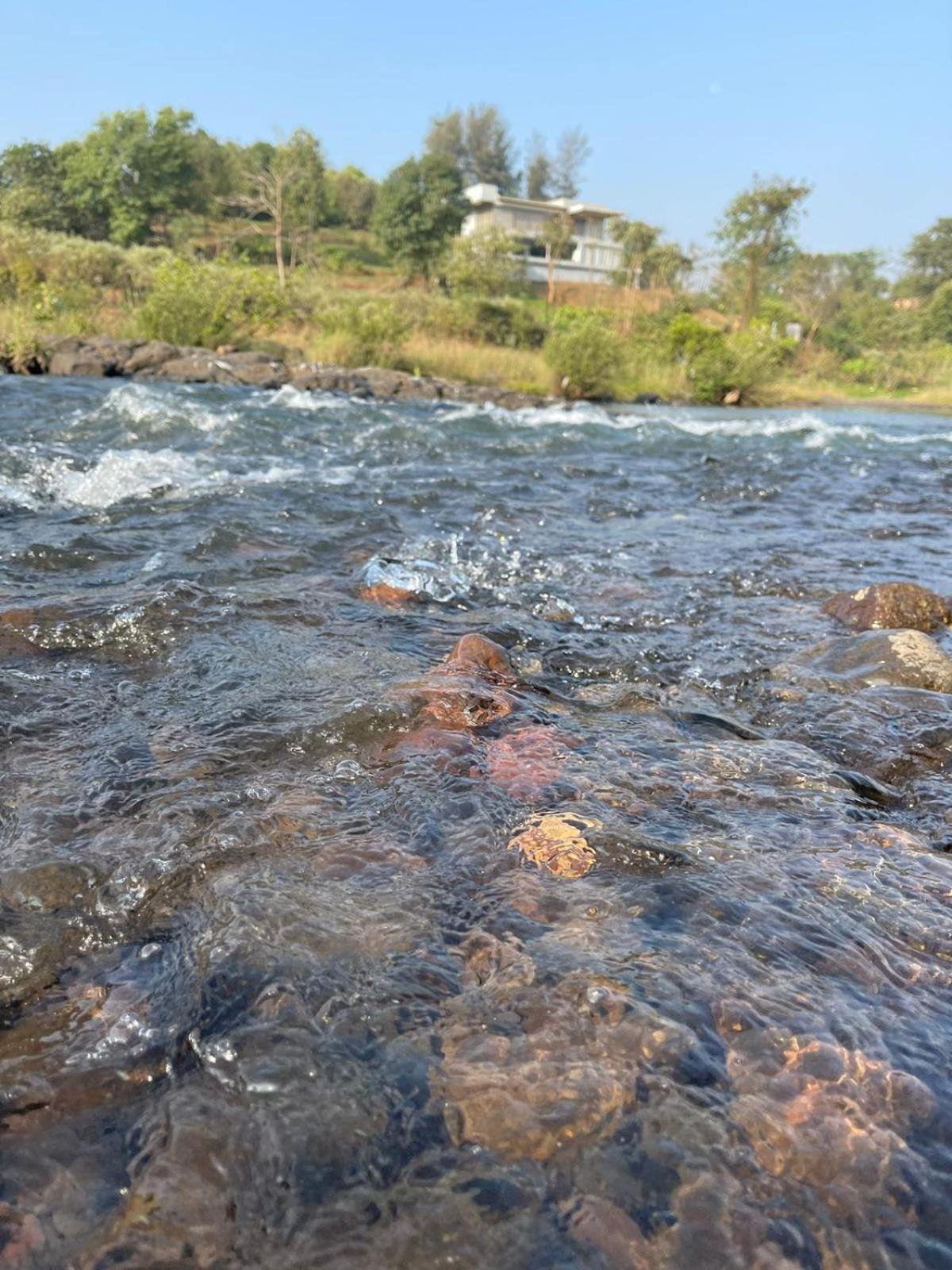 Sohana Eco Retreat Farmhouse - Karjat Chinchavli Zimmer foto